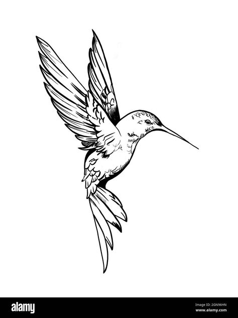 Hummingbird Tattoo Stencil, Traditional Hummingbird Tattoo, Traditional Hummingbird, Hummingbird Tattoo Design, Hummingbird Tattoo Black, Simple Hummingbird, Hummingbird Art Drawing, Joker Card Tattoo, Tattoo Hummingbird