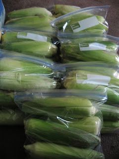 Freezing Corn On The Cob, Freezing Fresh Corn, Freezing Corn, Freezing Vegetables, Freezing Fruit, Canned Food Storage, Frozen Veggies, Corn On The Cob, Corn Recipes