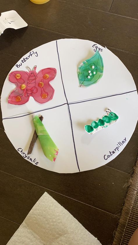 DIY life cycle of a butterfly Ece Activities, Butterfly Life Cycle Activity, Life Cycle Of A Butterfly, Cycle Of A Butterfly, Life Cycles Activities, Butterfly Life Cycle, Toddler Learning Activities, Toddler Learning, Diy Life