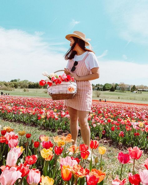 <the earth laughs in flowers 💛 happy earth 🌎 day> #earthday #flowerfield #tulips #spring Flower Picking Outfit, Pink Diary, Tulips Images, Carlsbad Flower Fields, Tulip Field, Spring Sunglasses, Tulip Season, Spring Portraits, Beautiful Photoshoot Ideas