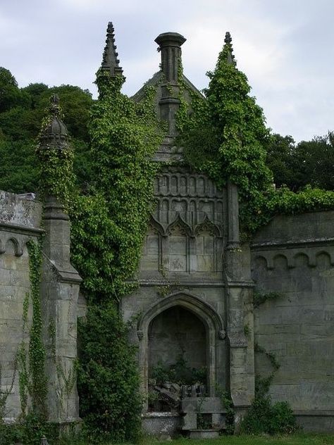 Old Castle, Old Building, Wales, Ivy, Castle, Building