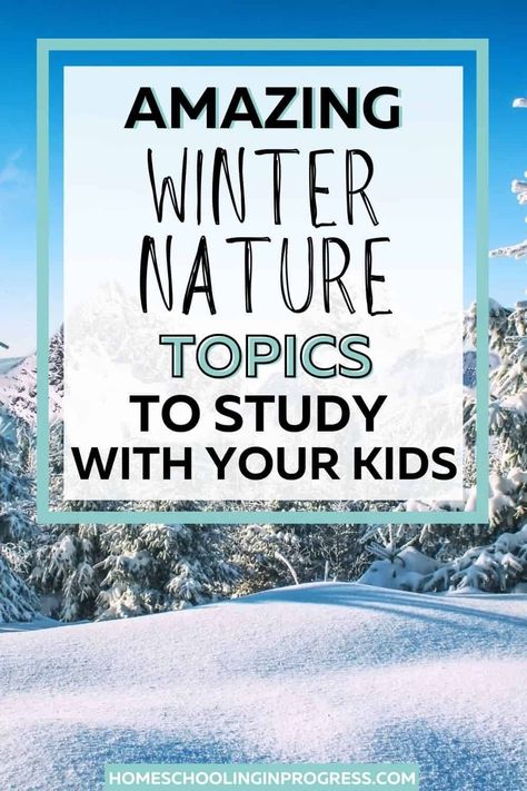 Yes, you can still do nature study in the winter! Find great winter nature topics, like winter plants, animals and more to study. Learn about books about winter that are great for a winter nature study and fun winter activities to include. Winter Nature Study, Winter Nature Activities For Kids, Winter Unit Study, Winter Homeschool, Best Time To Study, Winter Stem Activities, Homeschool Coop, Homeschool Nature, Nature Journals