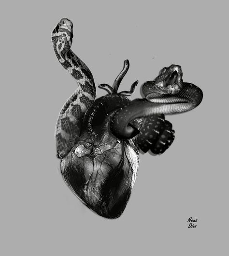 Aesthetic Betrayal, Betrayal Illustration, Snake Images, Ep Cover, Aesthetic Types, The Serpent, Simple Iphone Wallpaper, Heart Symbol, Black Ink Tattoos