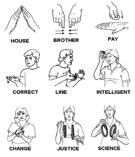 #asl #signlanguageforkids #signlanguagebasics #words #science #justice #change #intelligence Basic Sign Language For Beginners, Asl Words, Makaton Signs, Common Sence, Simple Sign Language, Hand Sign Language, Sign Language Art, Asl Sign Language Words, Sign Language Chart