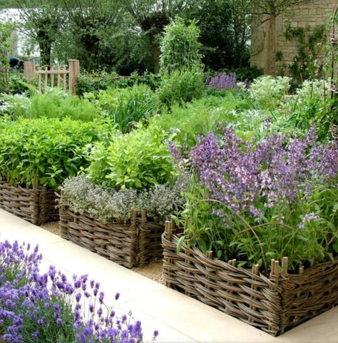 15 Unique and Beautiful Container Garden Ideas - Sanctuary Home Decor Herb Garden Planter, Outdoor Herb Garden, Raised Flower Beds, Herb Garden Design, Herb Gardens, Garden Vines, Vegetable Garden Design, Chelsea Flower Show, Garden Care