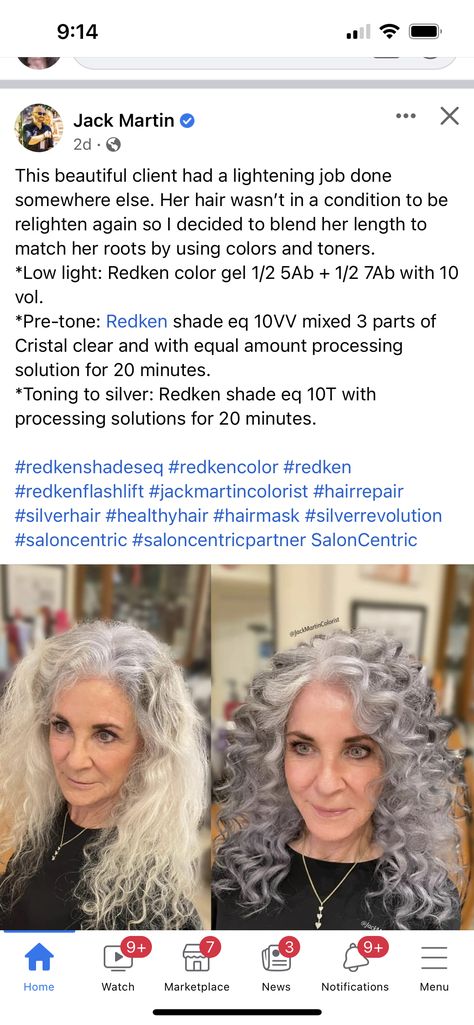 Redken Shades Grey Blending, Redken Grey Blending, Redken Shades Eq Grey Formula, Redken Permanent Hair Color Formulas, Gray Shades Eq Formula, Grey Blending Formula, Shades Eq Silver Toner Formulas, Shades Eq Grey Toner Formulas, Icy Grey Blonde Hair