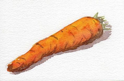 Watercolor vegetable. Shadow Watercolor, Botanical Sketching, Kuromi And Hello Kitty, Carrot Drawing, Still Art, Shadow Painting, Watercolor Painting Ideas, Realistic Sketch, Learn Watercolor Painting