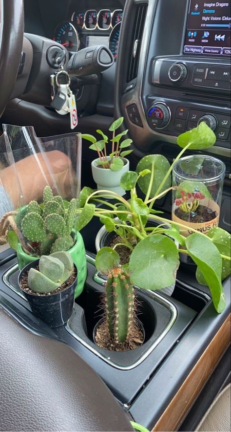 Plant Mama Aesthetic, House Plant Astethic, Plant Parent Aesthetic, Plant Tiktok, Green Plants Aesthetic, Car Plants, Plant Mom Aesthetic, Aesthetic Plant, Plant Goals