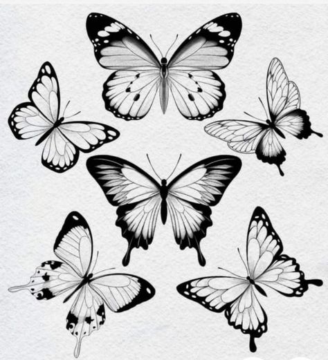 Ink Blot Butterfly, Butterfly Black And White Tattoo, Butterfly Tattoo Sketch, Gothic Butterfly Tattoo, Black And White Butterfly Tattoo, Cool Butterfly Tattoos, Butterfly Flash, Butterfly Stencils, White Butterfly Tattoo