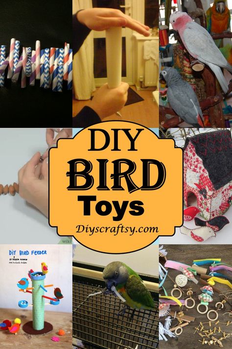 Diy Budgie Toys, Parrot Treats, Rabbit Enrichment, Conure Toys, Homemade Bird Toys, Diy Parrot, Diy Parrot Toys, Handmade Bird Toys, Best Pet Birds