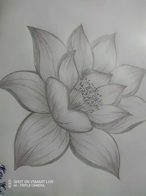 Flower Sketches Easy, Flower Sketches Simple, Easy Flower Sketches, Lotus Flower Sketch, Word Art Drawings, Lotus Flower Drawing, Arte Aesthetic, Pencil Drawings Of Flowers, Fabric Painting Techniques