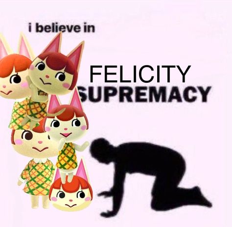 Felicity Acnh, Felicity Animal Crossing, Animal Crossing Memes, Hello Kitty Images, Kitty Images, Jojo Anime, Fresh Memes, Ravenclaw, Animal Crossing