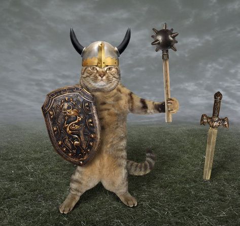 Viking Cats - DNA Study Shows the Crucial Role Felines Played in Viking Life Arte Viking, Viking Village, Viking Life, Viking Helmet, Ancient Vikings, Viking Symbols, Viking Age, Norse Mythology, Cat Tattoo