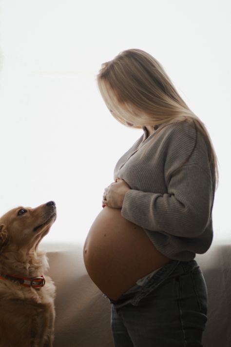 Smiling Maternity Photos, Indoor Maternity Photos With Dog, Casual Maternity Pictures With Dog, Maternity Pictures With Dog And Husband, Maternity Pictures Dog, At Home Maternity Shoot With Dog, Outdoor Maternity Photos With Dog, Maternity Session With Dog, Maternity Shoot Dog