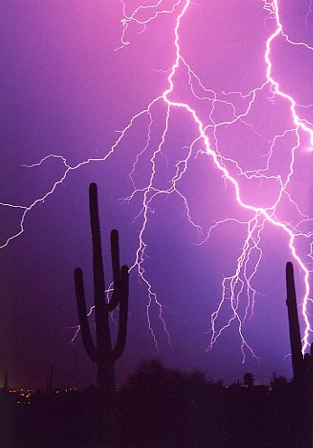 sonoran desert Purple Western Aesthetic, Cyno Aesthetic, Arizona Scenery, Weather Phenomenon, Purple Desert, Desert Tattoo, Desert Inspiration, Sunday Food, Arizona Aesthetic