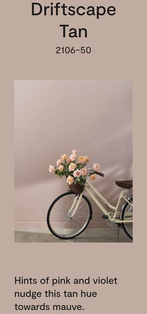 Benjamin Moore Driftscape Tan, Driftscape Tan By Benjamin Moore, Hint Of Mauve Benjamin Moore, Wisp Of Mauve Benjamin Moore, Tan Paint, Kids Rooms Inspo, Half Bathroom, Home Reno, Basement Ideas