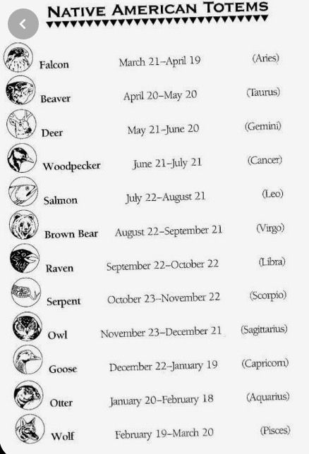 Raven Native American Zodiac, Indian Zodiac Signs, Raven Zodiac, Wolves Quotes, Native American Astrology, Ancient Zodiac, Native American Knowledge, Native American Zodiac, Celtic Zodiac