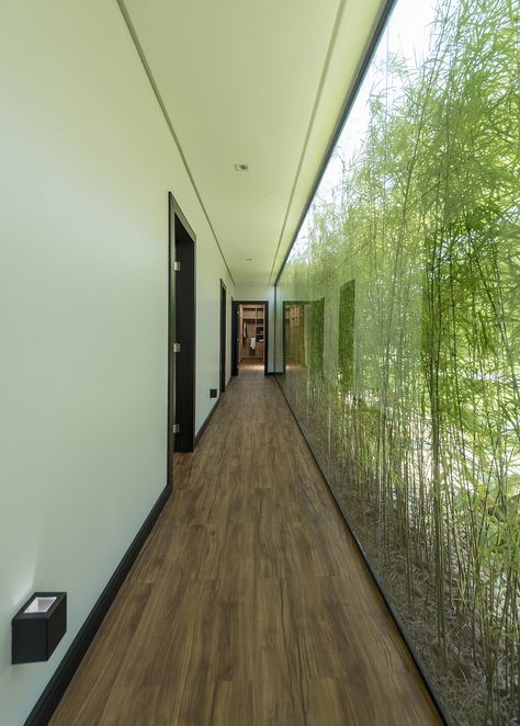 Corridor With Windows, Hallway With Outside View, Plants Next To Window, Hallway With Glass Wall, Windowed Hallway, Land Scape Architecture, House Hallway Design, Wellbeing Architecture, Nature House Design