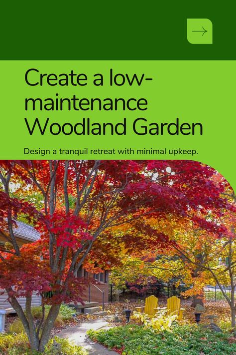 Creating a woodland garden is ideal for those looking for the perfect low-maintenance, natural garden that not only looks beautiful year round, but attracts a host of birds, butterflies and other wildlife to your yard. The focus of a woodland garden is to let nature do most of the work. Once you get this naturalized garden performing at its best, you can enjoy more time in it relaxing rather than weeding. Garden tips | landscaping ideas | native plants | wildlife gardening | backyard birds Backyard Woodland Garden, Woodland Landscaping Ideas, Naturalized Garden, Woodland Garden Ideas, Wildlife Garden Design, Felting Tips, Japanese Inspired Garden, Gardening Backyard, Woodland Gardens