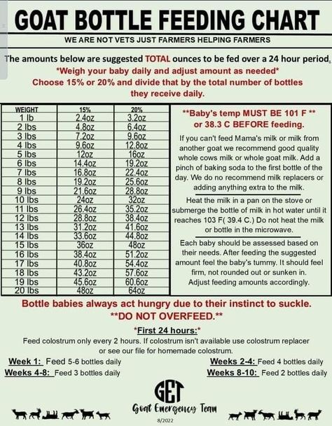 Bottle Feeding Chart, Goat Feeder, Goat Pen, Large Animal Vet, Feeding Goats, Goat Care, Goat Barn, Boer Goats, Raising Goats