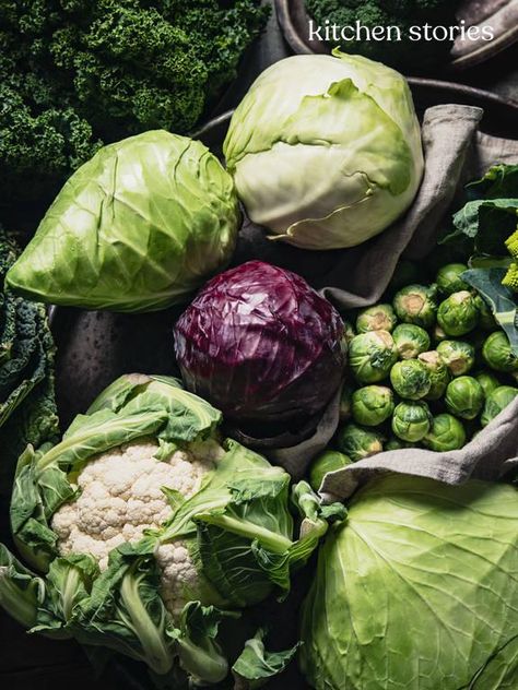 The Ultimate Guide to Cabbage: 11 Varieties and How to Use Them Cabbage Varieties, Types Of Cabbage, Vegetable Salads, Fermenting Weights, Cabbage Seeds, Vegetable Salad Recipes, Celtic Sea Salt, Healthy Probiotics, Sauerkraut Recipes