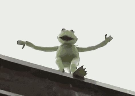 Kermit Falling GIF – Kermit Falling Building – discover and share GIFs Falling From A Building, Falling Building, Kermit Gif, Sapo Kermit, Kermit The Frog Gif, Falling Gif, Daschund Dog, Kermit Funny, Discord Pfps