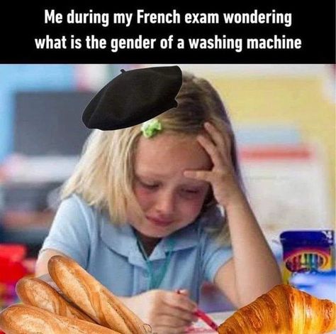 Charlie 🇺🇸 French Teacher on Instagram: "As a native English speaker who learned French, this is what I keep in mind to know if a word is masculine or feminine: If I can hear the last consonant of a word, like an S or T for example, it’s USUALLY feminine. THIS IS NOT A RULE !! And definitely it’s NOT a perfect system, but it has always worked pretty well for me. I’ve been speaking French for 13+ years and I’ve just heard it enough that I can just kinda tell when a word is feminine or masculine. It comes with A LOT OF PRACTICE. I tell my private French students when they’re speaking French to try to “think about less” and get in a flow state, even if it’s not 100% perfect. 🔑but remember, getting the gender of a word wrong is one of the smallest mistakes you can make! What’s more impor Funny French, French Teacher, Magnum Opus, How To Speak French, Oui Oui, Learn French, What’s Going On, Eminem, The Hobbit