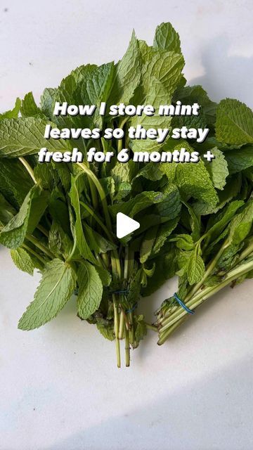 Mint Leaves Recipe, Drying Mint Leaves, Herb Storage, Go Browns, Amazon Kitchen Gadgets, Because I Can, No Waste, Curry Leaves, Mint Leaves