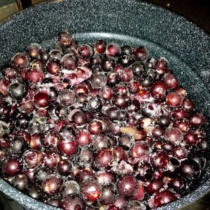 What to Do With Muscadines? Muscadine Jelly Recipe, Muscadine Recipes, Grape Ideas, Muscadine Recipe, Appalachian Food, Appalachian Cooking, Muscadine Jelly, Farm Basket, Muscadine Grapes