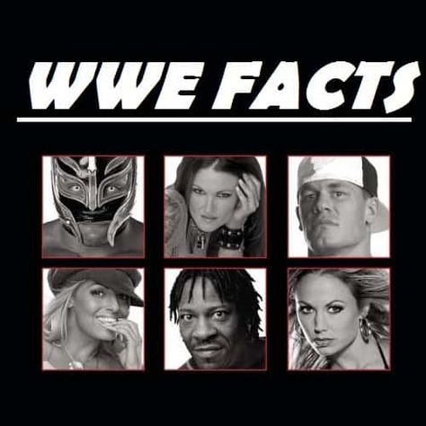 Get lesser known Surprising WWE facts which are shocked you. All WWE facts which you didn’t know. Read interesting WWE facts at Sportycious. Wwe Facts, Jake The Snake Roberts, Rob Van Dam, Chris Benoit, Kurt Angle, Andre The Giant, Jeff Hardy, Shocking Facts, Shawn Michaels