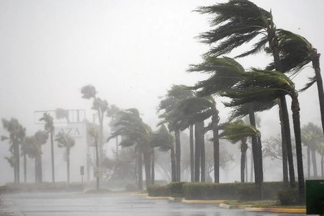 How bad is this year’s hurricane season? 2023’s unusual tropical storms, explained. - Vox Blowing In The Wind, Khalil Gibran, Holding Company, Tropical Storm, Insurance Policy, Severe Weather, Previous Year, Pacific Ocean, Travel Insurance