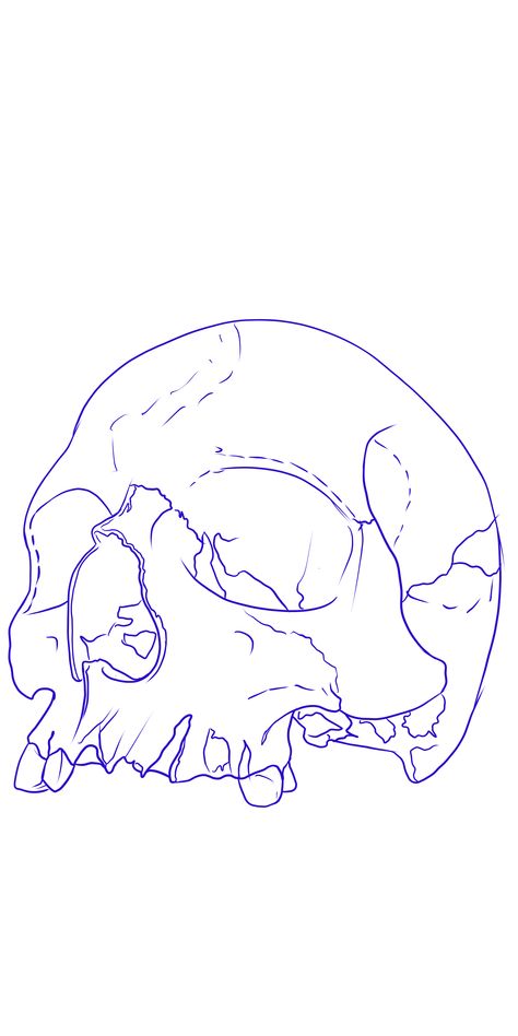 Skull Tattoo Outline Drawing, Dark Tattoo Stencils Outline Design, Tattoo Outline Drawing Stencil Design Skull, Half Skull Tattoo Design, Skull Tattoo Design Outline, Tattoo Stencil Drawings, Skull Stencil Tattoo, Leg Template For Tattoo, Skull Outline Tattoo