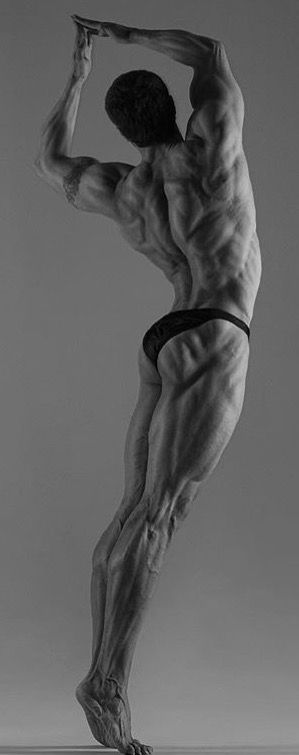 Human Body Reference Photography, Krista Sudmalis, Male Back Muscles Reference, Back Muscles Male Anatomy Reference, Muscle Refrence Art, Male Muscle Reference Photo, Muscle Studies Drawing, Muscle Study, 남성 근육