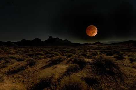 Desert Aesthetic, Nevada Desert, Desert Photography, Southern Gothic, Blood Moon, Red Barn, Old West, Dark Aesthetic, Nevada