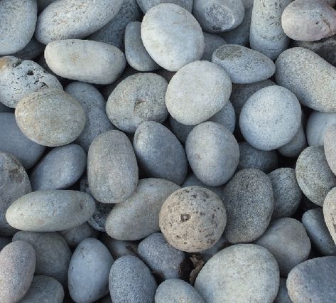 stones from the coast of the Olympic Pennisula.. Gray river rocks for Zen gardin House Tully, Gravel Garden, River Rocks, Olympic Peninsula, River Stones, Material Textures, Home Landscaping, Sticks And Stones, Landscaping Tips