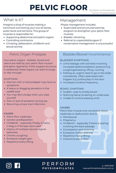 "Download and check, “Women’s Health - Pelvic Floor” Infographic by performphysiopilates.com.au, and learn how weakness and dysfunction of the pelvic floor is extremely common in women, its causes and symptoms. #healthcare #medical #women #Pelvic #Floor" Physiotherapy Infographics, Weak Pelvic Floor Symptoms, Pelvic Floor Dysfunction Symptoms, Pelvic Floor Therapy, Woman Health, Pelvic Health, Pelvic Organ Prolapse, Pelvic Floor Dysfunction, Physiotherapy Clinic