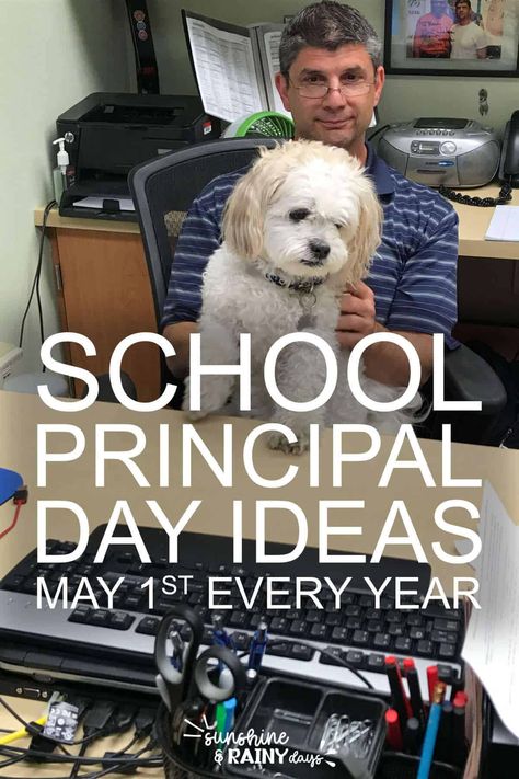 It's important to celebrate the hard work and dedication of our school principals. Whether it's with a heartfelt thank you card, a silly decoration, or a thoughtful gesture, every effort to recognize them goes a long way. #schoolprincipalsday #principals #principalsday Principal Thank You Note, Principal Week Ideas, Principals Appreciation Day Ideas, Principal For The Day Ideas, National Principals Month Ideas, Principals Day Ideas Appreciation Gifts, Principal Month Ideas, Principal Day Ideas, School Principal Day