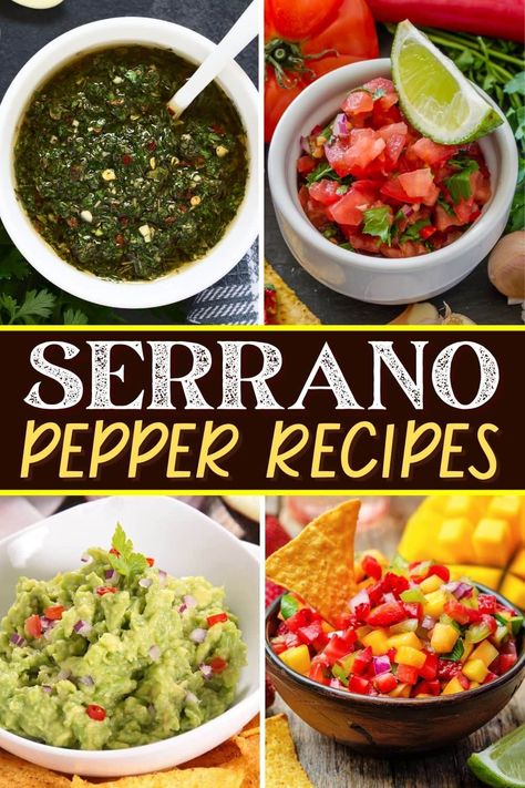 Try these Serrano pepper recipes when you want some extra heat! From salsa to rice to pad Thai, you won't be able to get enough of these peppers. Salsa Peppers Recipes, How To Use Serrano Peppers, Candied Serrano Peppers, Roasted Serrano Pepper Recipes, Serrano Peppers Recipes, Serrano Chili Recipes, Stuffed Serrano Pepper Recipes, Seranno Pepper Recipe, Pablano Pepper Canning Recipes