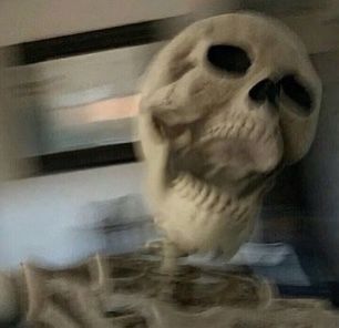 Skeleton Pics, Silly Skeleton, Funny Skeleton, Funny Profile, Funny Profile Pictures, Funny Reaction Pictures, Cartoon Profile Pics, Meme Faces, Really Funny Pictures