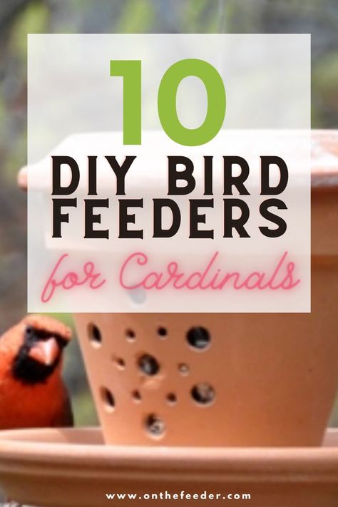 diy bird feeders for cardinals Cardinal Bird Feeder, Bird Feeder Diy, Gazebo Bird Feeder, Platform Bird Feeder, Bird Feeder Station, Unique Bird Feeders, Backyard Birds Sanctuary, Make A Bird Feeder, Best Bird Feeders