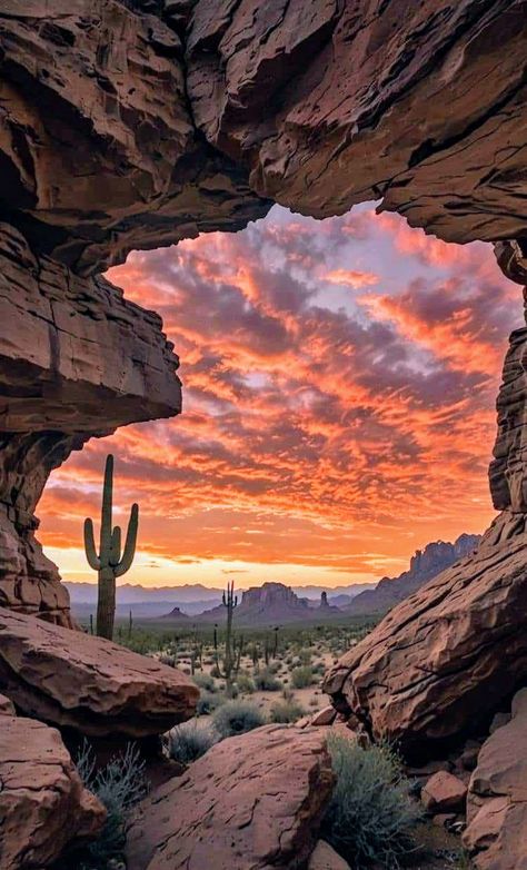 Sedona National Park, Colorado Landscape Photography, Mexican Desert Aesthetic, Sunset In The Desert, Sunsets Mountain, Desert Cave, Mountain Sunsets, Cactus Aesthetic, Canyon Ultimate