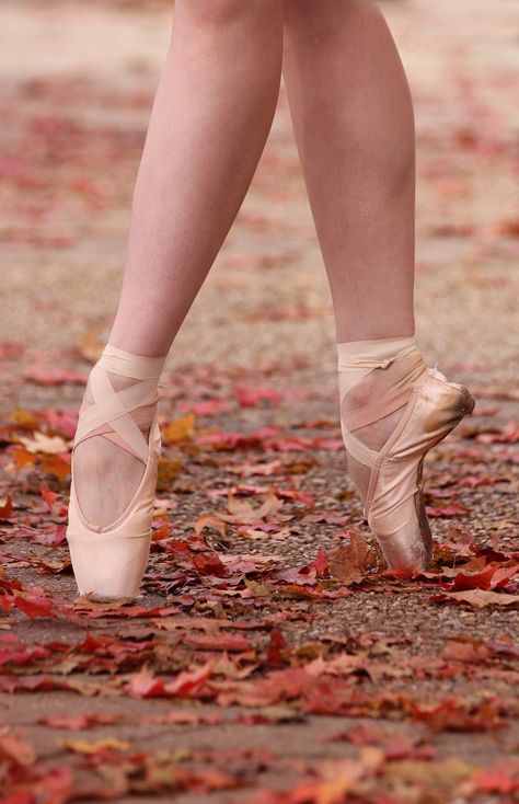 Photographer: Kristopher Grubbs #ballet #ballerina #balletlegs #pointe #pointeshoes #dancewear #kristophergrubbs #grishko #grishkopointeshoes #balletfeet #balletshoes #ballerinaproject #fall #autumn #fallleaves #enpointe Pointe Shoe Photography, Ballet Pointe Shoes Photography, Pointe Shoes Aesthetic, Pointe Shoes Photography, Fall Aesthetic Cute, Dance Pointe, Pointe Shoes Ballet, Dance Shoot, Autumn Fall Aesthetic