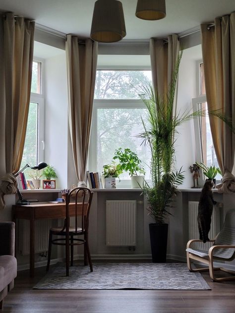 Bay window, plants, cosy home Bay Window Work Space, Updating Bay Window, Bay Window Plant Display Living Room, Bow Window Bedroom, Bay Window Shelves, Window Area Decor, Front Bay Window Ideas, Long Windows Living Room, Bay Window Plant Ideas