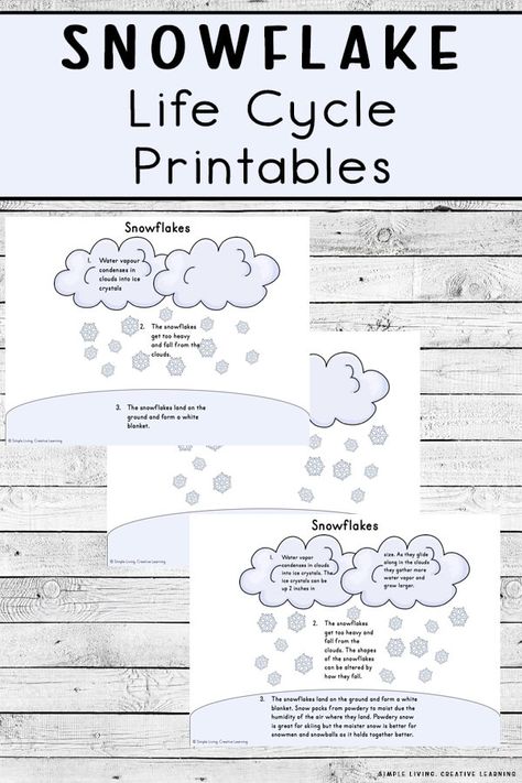 Life Cycle Of A Snowflake Free Printable, Life Cycle Of Snow, Life Cycle Of A Snowflake, Free Science Worksheets, Winter Poster, Preschool Winter, Test Image, Christmas Science, Snowflake Craft