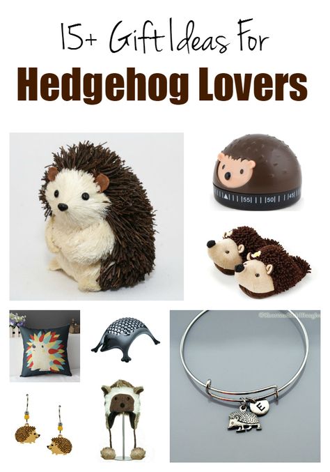 Adult Hedgehog Lover Gift Ideas Hedgehog Gift Ideas, Hedgehog Book, Hedgehog Accessories, Hedgehog Care, Pet Hedgehog, Pygmy Hedgehog, Hedgehog Craft, Happy Hedgehog, Lover Gift Ideas