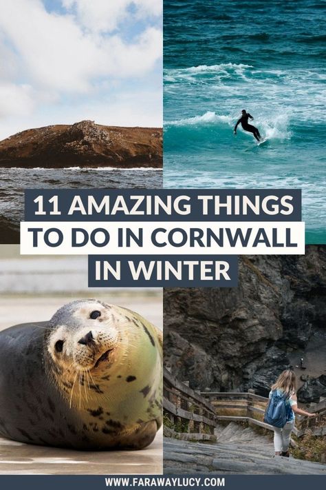 Cornwall In Winter, Storm Watching, Things To Do In Cornwall, European City Breaks, Best Pubs, Eden Project, Surfing Waves, Indoor Activities, Uk Travel