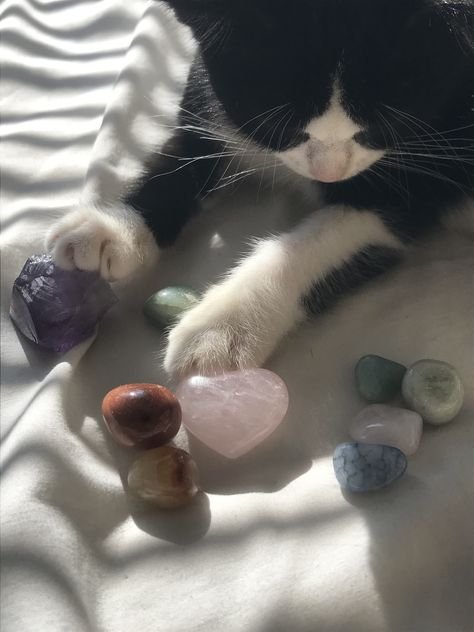 Cats With Crystals, Cat With Crystals, Cats And Crystals, Cats Crystals, Cat Crystals, Crystal Vibes, Crystal Cat, Inspiration Tattoos, Wallpaper Pastel