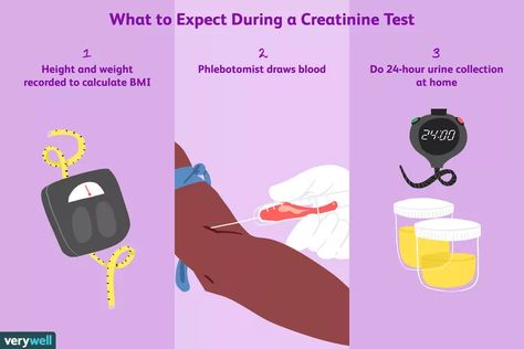 Creatinine Tests: Uses, Side Effects, Procedure, Results Kidney Function, Blood Test, Physical Health, Side Effects, Disease, Physics, Serum, Health