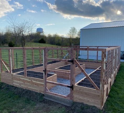 Fenced In Raised Garden Beds Layout, Walk In Raised Garden Beds Diy, Big Raised Garden Beds, Greenhouse With Garden Outside, Raised Rock Garden Beds, Walk In Garden Box Raised Beds, Raised Garden Beds Fenced In, Walk In Garden Ideas, Enclosed Raised Garden Beds Diy