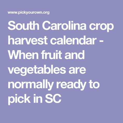 South Carolina crop harvest calendar - When fruit and vegetables are normally ready to pick in SC Harvest Calendar, Fruits In Season, Seasonal Color Analysis, Fruit Vegetables, Color Magic, Fruit In Season, Season Colors, Zero Waste, Fruits And Vegetables